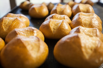 Frische Brötchen auf dem Blech