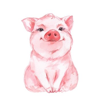 easy cute drawings of pigs