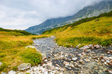 Fototapeta premium autumn landscape, Tatra mountains, Poland