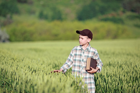 мальчик читает книгу в поле пшеницы 