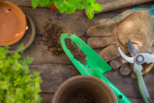Overhead view of garden trowel and gloves on table