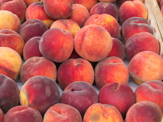 Fresh peaches at a farmers market