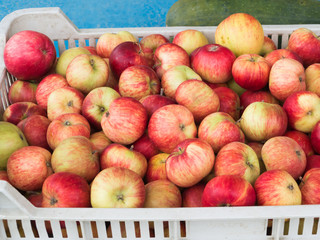 Red apples in a drawer