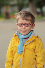 Back to school. Little boy in glasses ready for school.