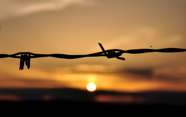 Stacheldraht bei Sonnenuntergang