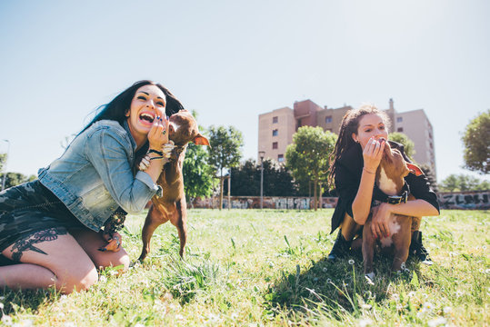 Two young women playing with pit bull terriers in urban park