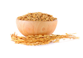 Paddy rice deeds  in wooden bowl on white background