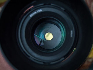 A view through the lens