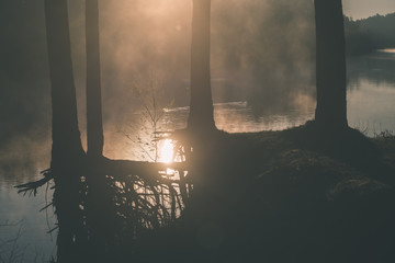 beautiful foggy river in forest - vintage film effect