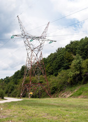 Electricity Pylon and woods in background