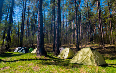 Group of tents in forest, Russia