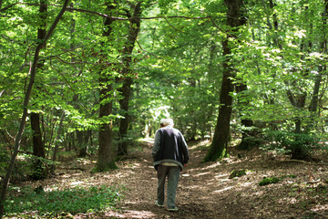 Fototapeta premium Old man walk in the forest