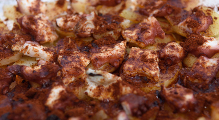 Galician octopus