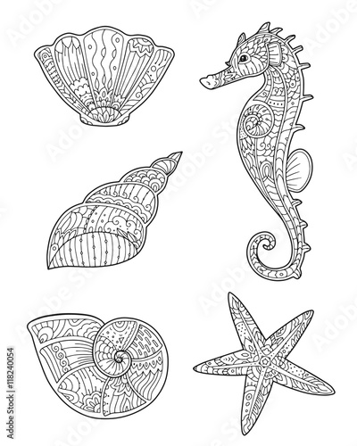 Adult Coloring Page With Seashells Seahorse And Starfish In Zentangle Style Doodle Hand Drawn
