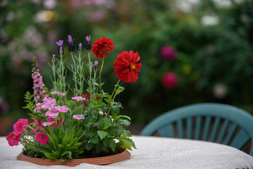 テーブルの上のダリア