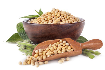 freshly harvested domestic soybeans in a wooden bowl with leaves and green beans