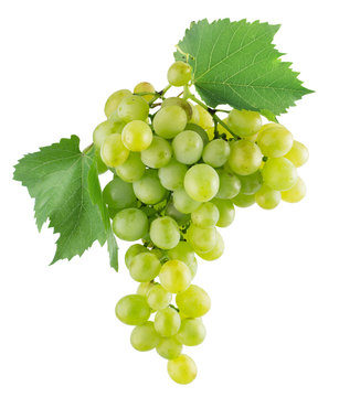 green grapes on the white background