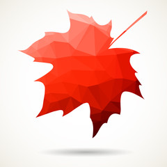 Triangular maple leaf