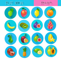 Tropical Fruits Set Colorful Icon Collection