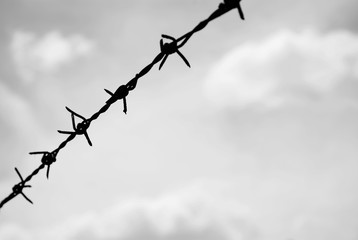 closeup black and white barbed wire background