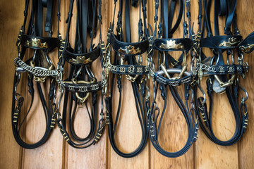 Briddles in Spanish horse riding school - 118243447