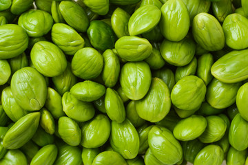 parkia speciosa