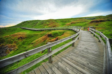 Wooden stairs to Ventnor beach, The Nobbies center overlook Seal Rocks. Grant Point, western tip of Phillip Island, Victoria, Australia
