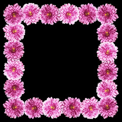 Beautiful floral background of purple chrysanthemums 