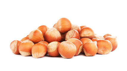Hazelnuts In A Shell