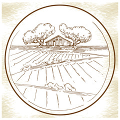 Hand made sketch grape fields and vineyards.