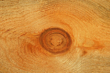 Wooden textured background