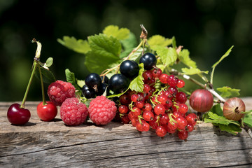 garden berries