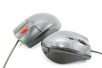 Computer mouses on white background