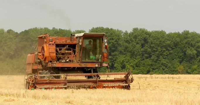 A red old combine harvester in a wheat field
