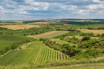 Fototapeta na wymiar View of the village Boretice