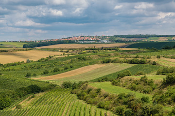 Fototapeta premium View of the village Boretice