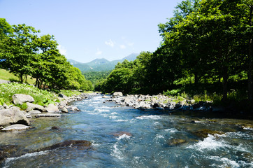 夏の知床　岩尾別川（北海道）