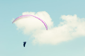 Paraglider flying with purple wing on blue sky