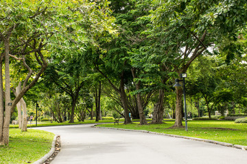 Flowers in the garden