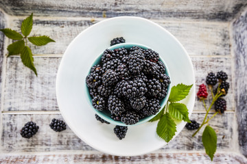 Fresh blackberries in bowl
