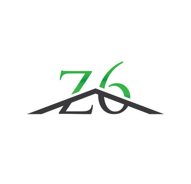 z6 green initial