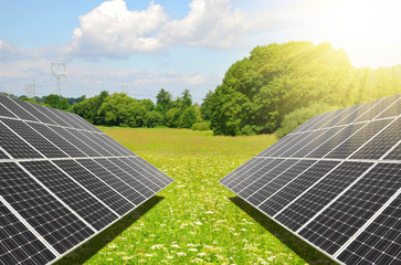 Solar power station on the spring flowering meadow. Photovoltaic panels generate clean energy.