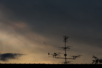 Last light of the day.