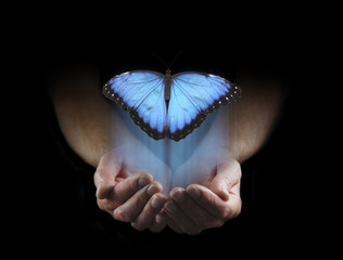 There are some things you cannot keep  - male hands cupped emerging from a black background with a large blue butterfly rising up with copy space above - obrazy, fototapety, plakaty