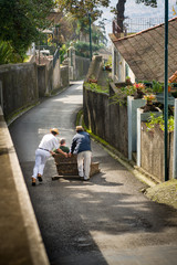 Downhill ride on cane sledges is popular touristic attraction of Funchal.