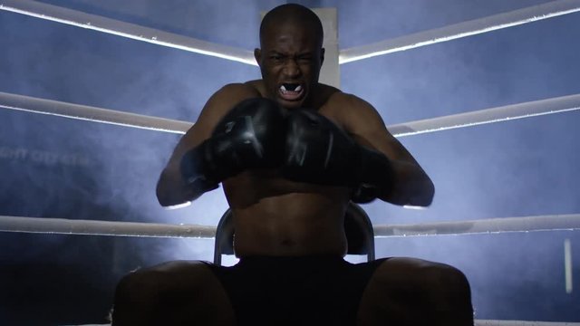  Aggressive fighter sits in corner of ring, psyching himself up for the fight.
