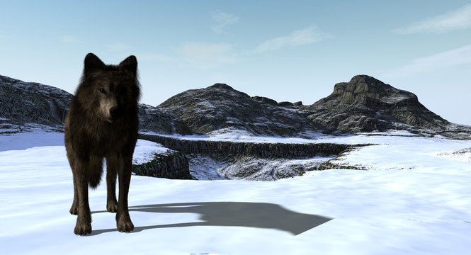 Wolf On A Rocky Mountain Plain 3D Rendering