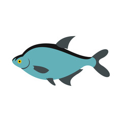 Fish icon in flat style isolated on white background. Sea creatures symbol