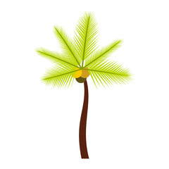 Palm butia capitata icon in flat style isolated on white background. Flora symbol