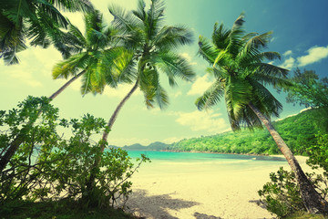 Fototapeta na wymiar tropical Seychelles beach